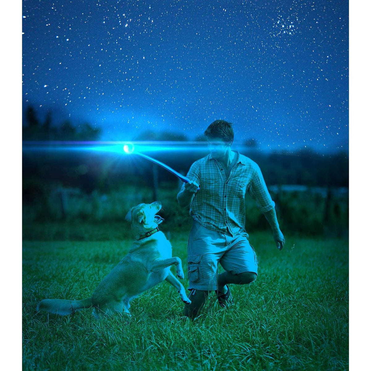 Light Up Fetch Ball F377