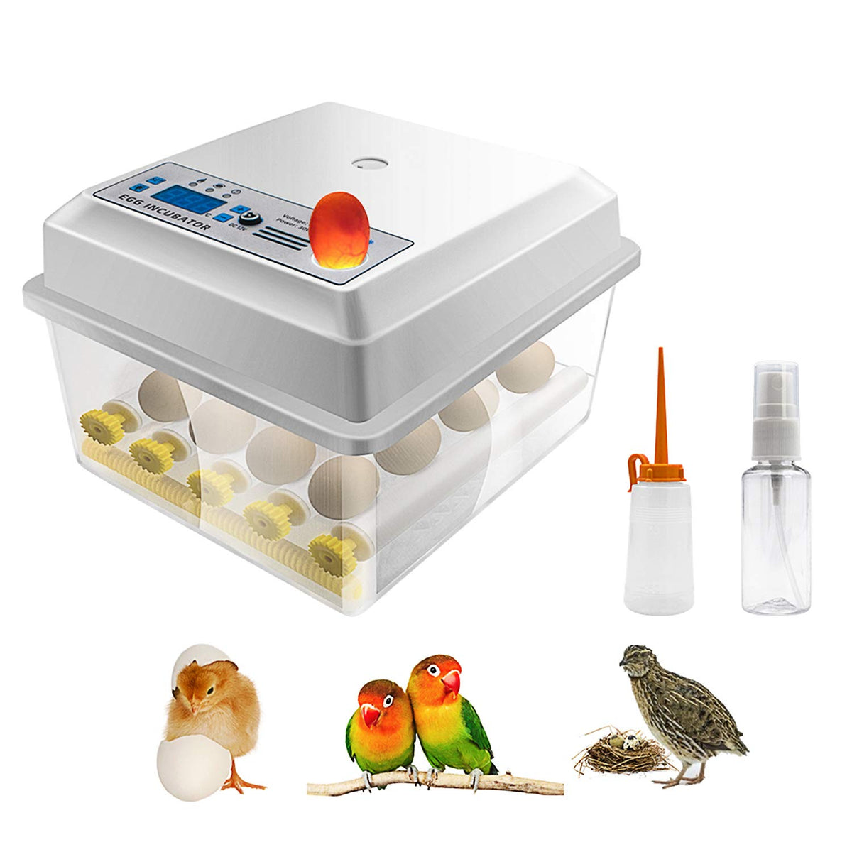 16 Eggs Digital Mini Egg Incubator with Automatic Turner S945641