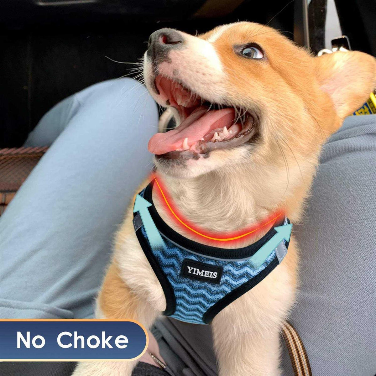 Dog Harness and Leash Set No Pull Soft Mesh V345