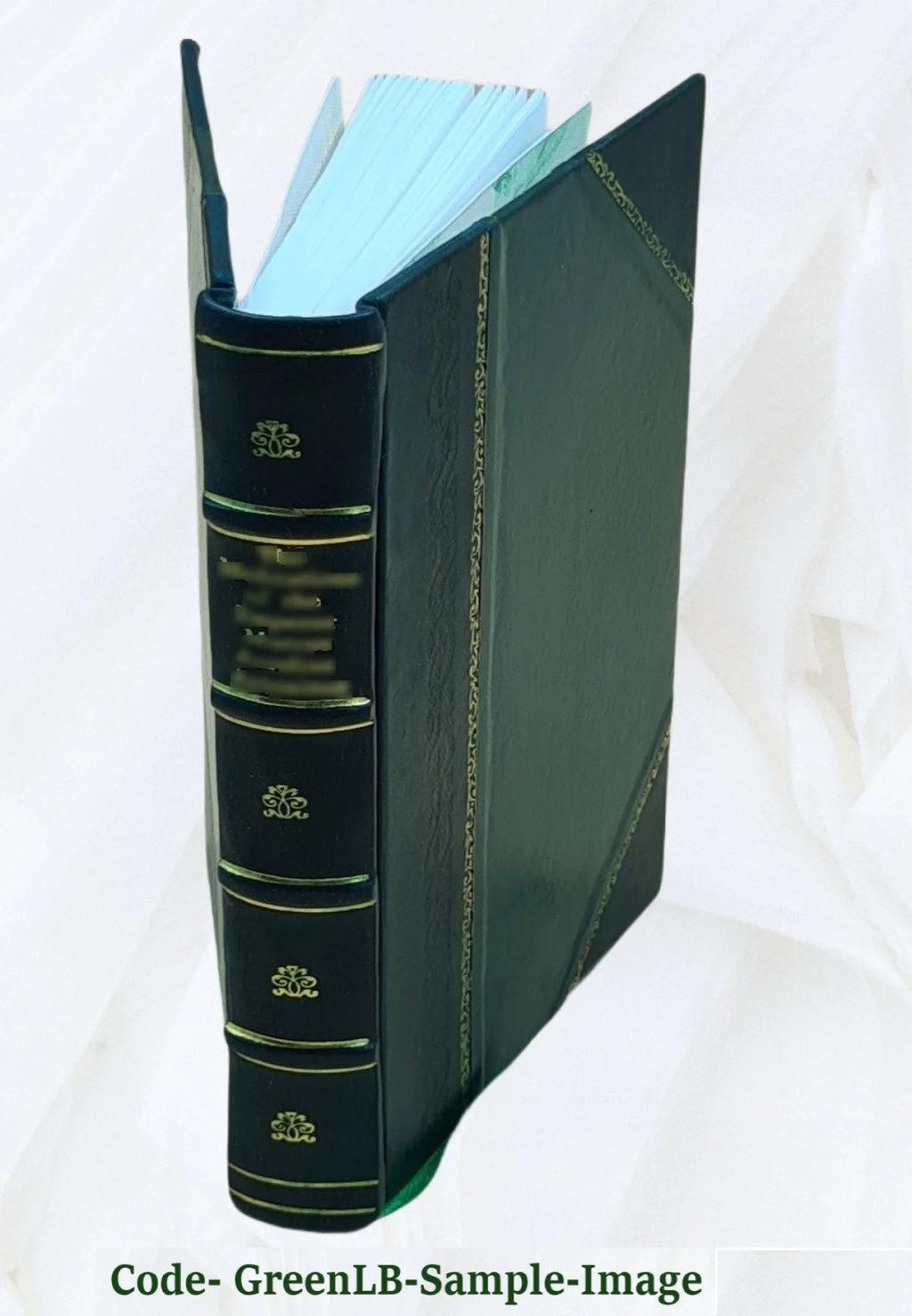 Leather Bound I4563