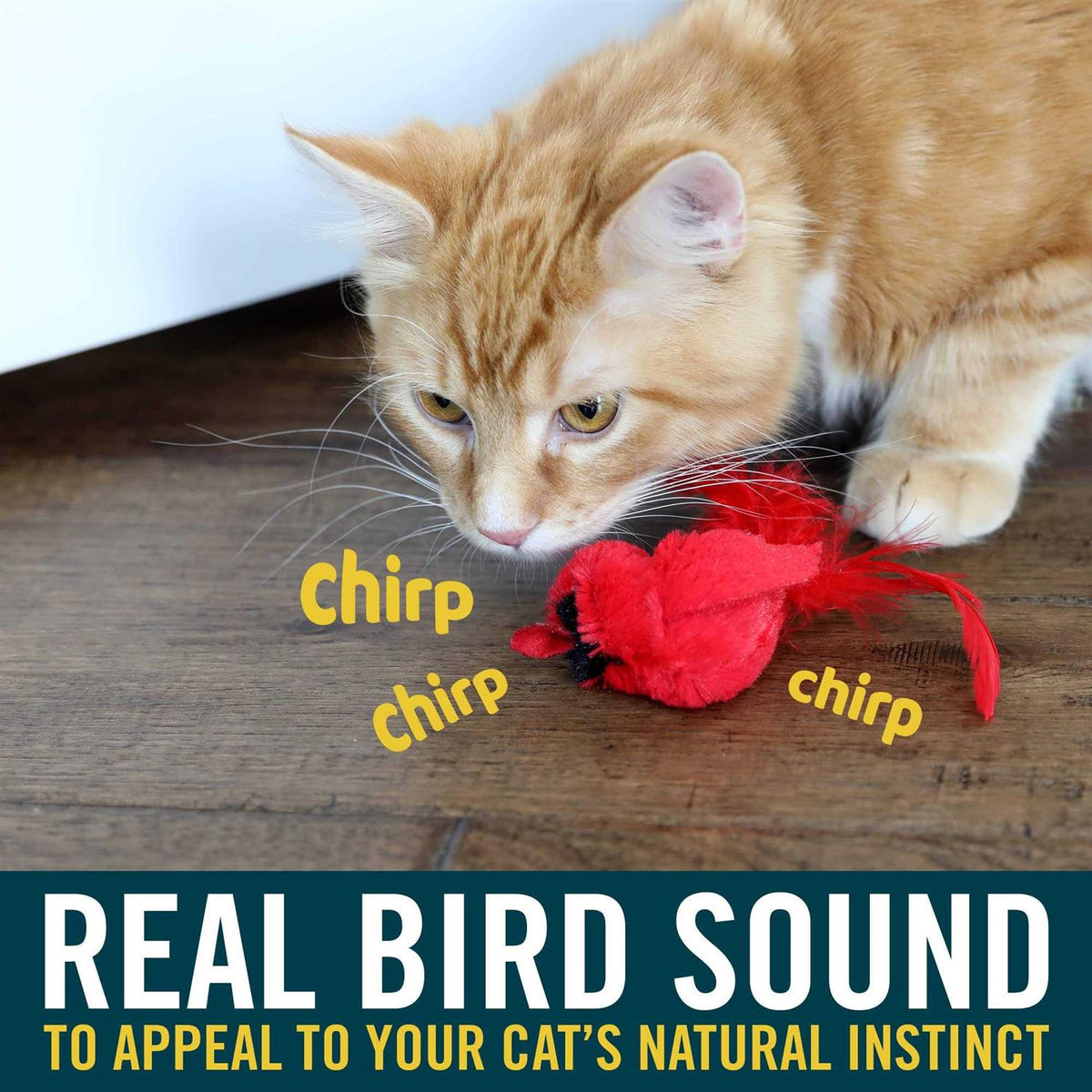 Cat Toy Q277736