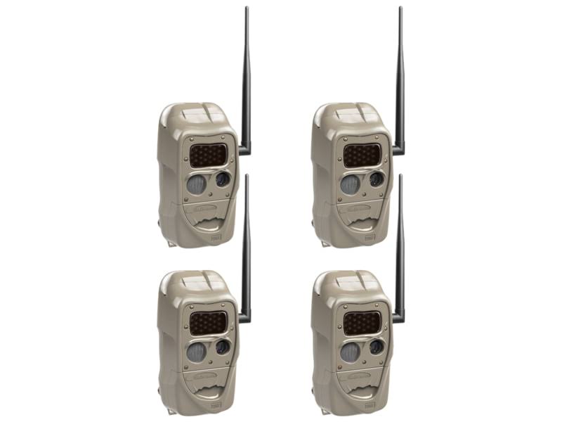 Black Flash Trail Camera 4 Pack Z129498