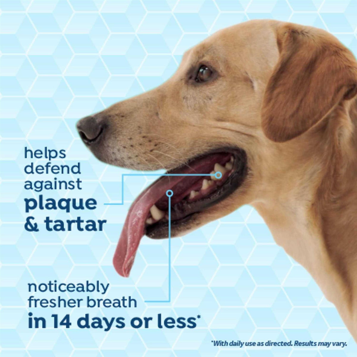 Dog Dental Health Solution T463