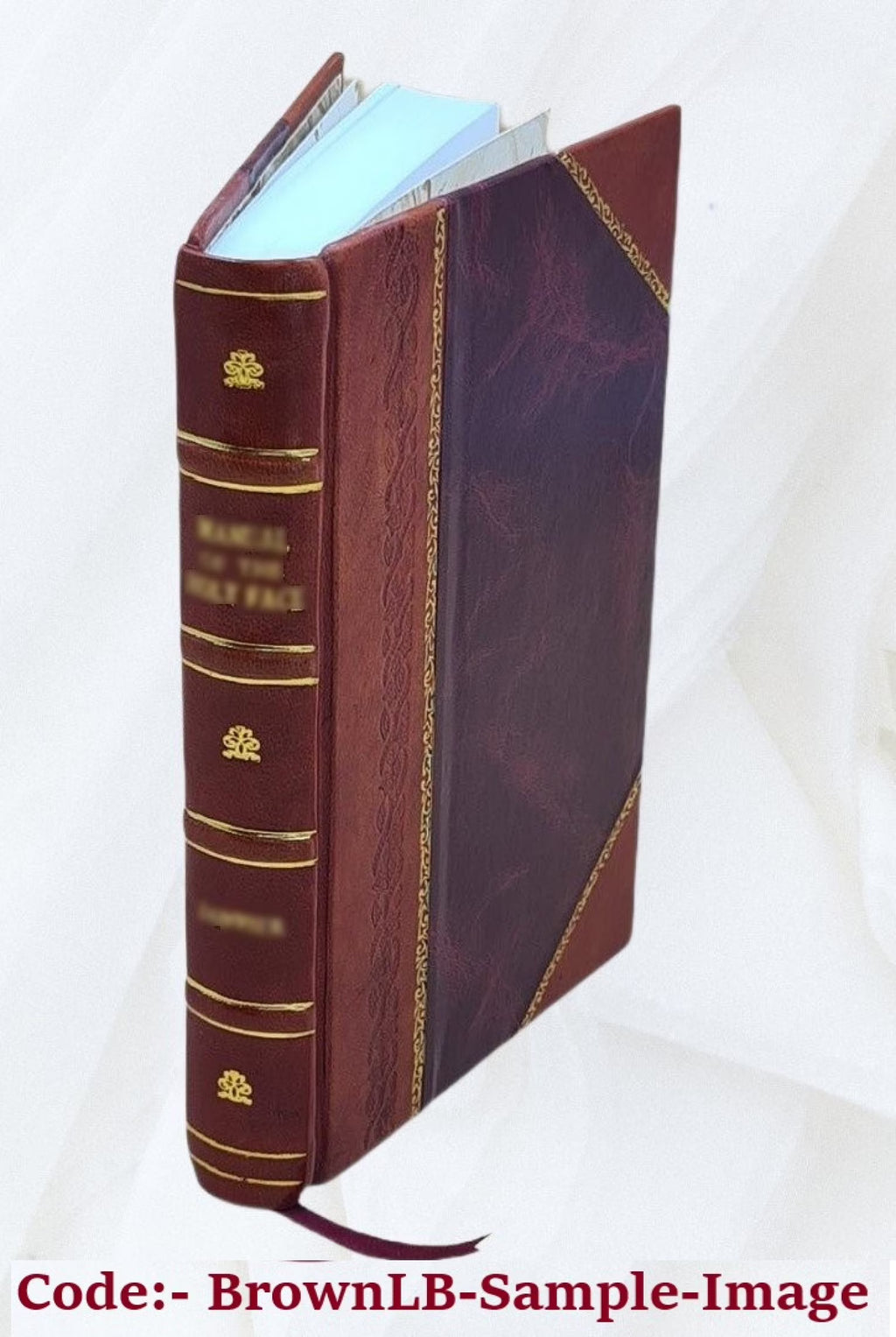 Leather Bound I4563