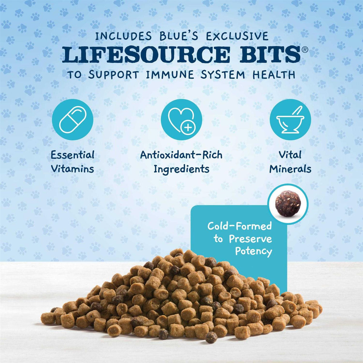 High Protein Natural Dry Kitten Food Y7473