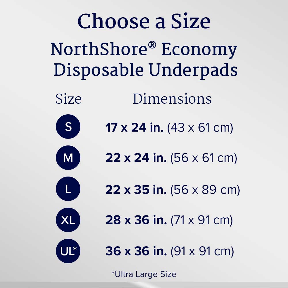 Economy Disposable Underpads, Large, 22x35 in., Case/150 O25494