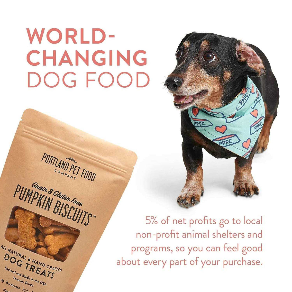 All-Natural Dog Treat Biscuits Multipack Bacon K86114
