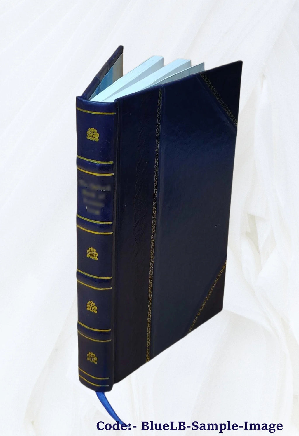 Leather Bound I4563