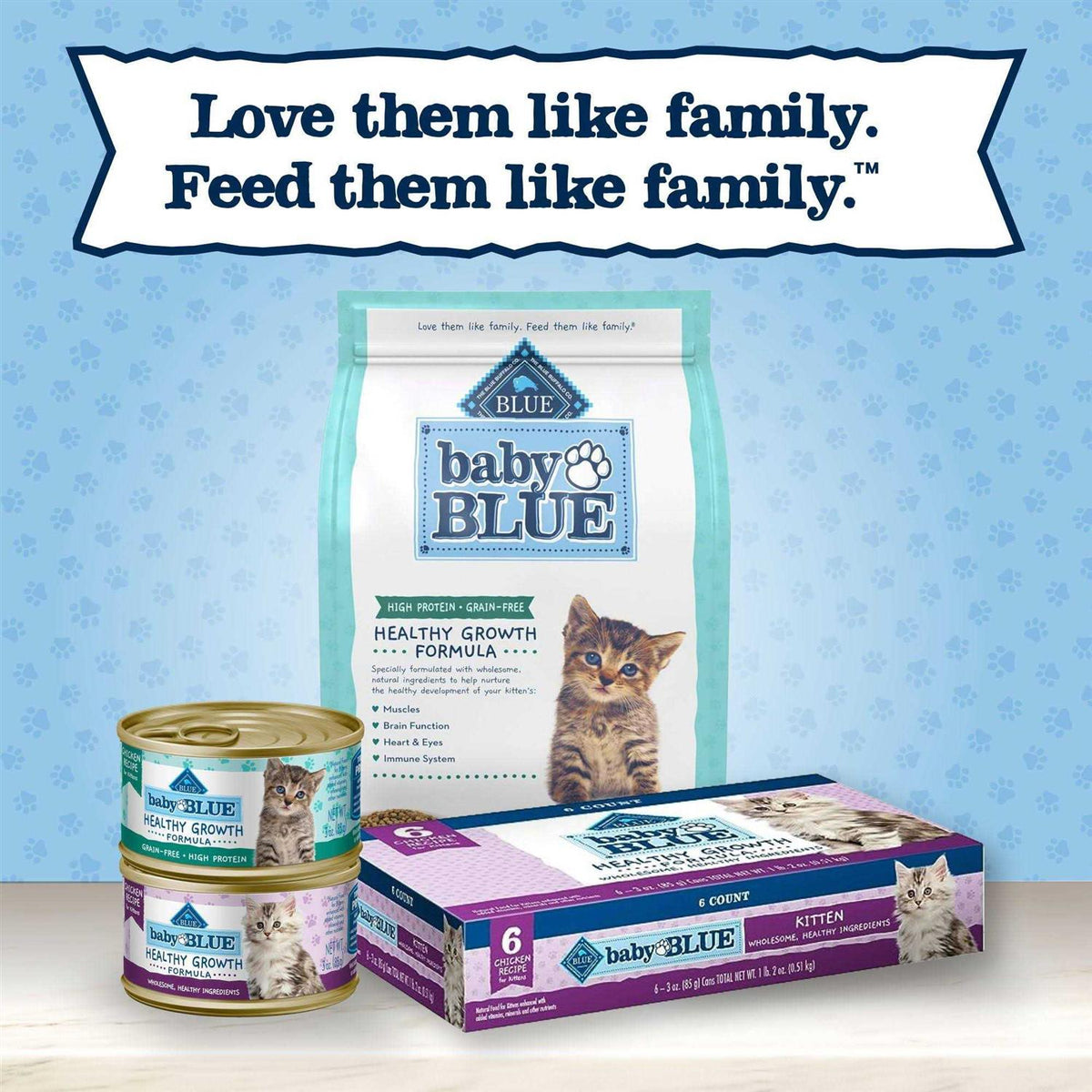 High Protein Natural Dry Kitten Food Y7473