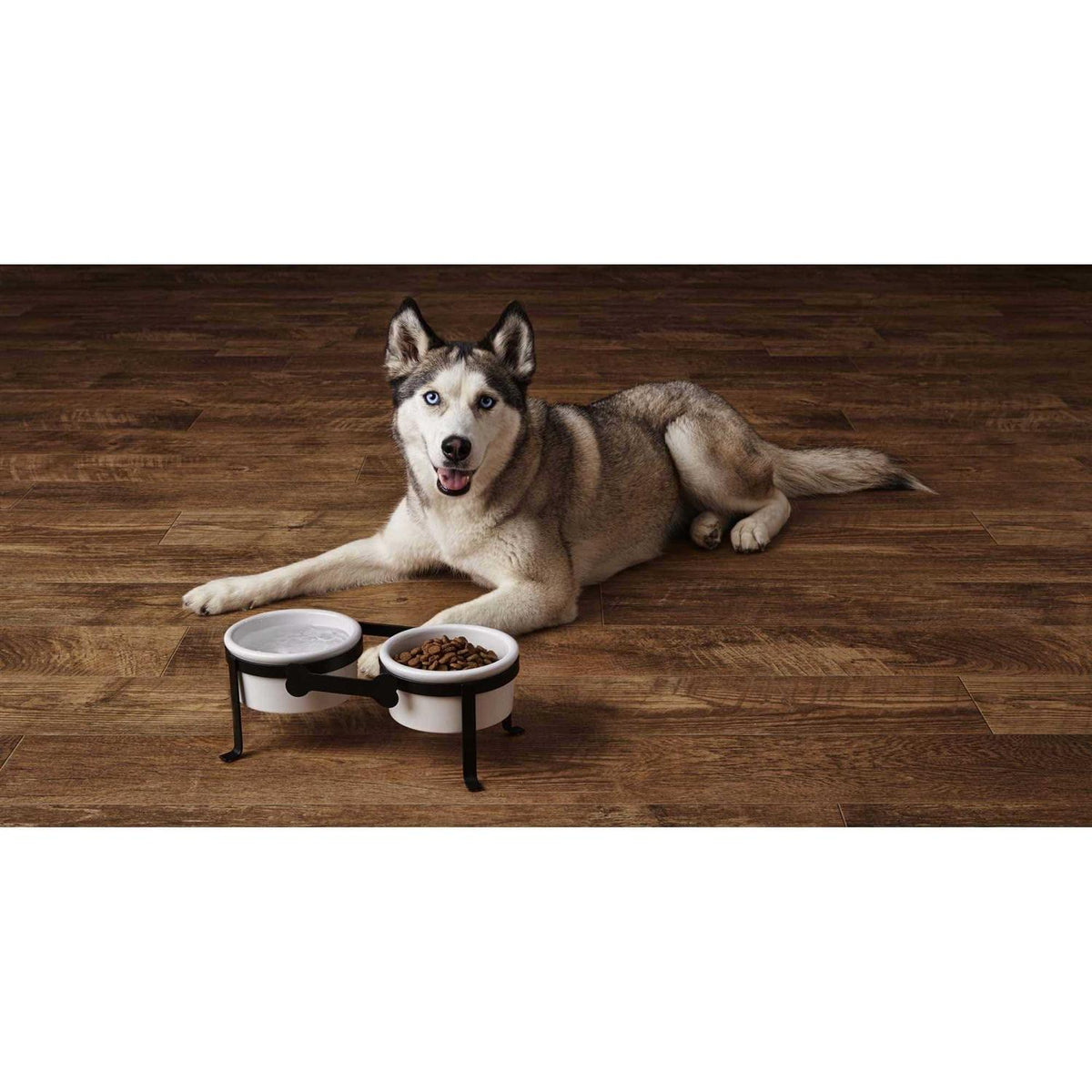 Iron Double Diner with Ceramic Dog Bowls Z369302