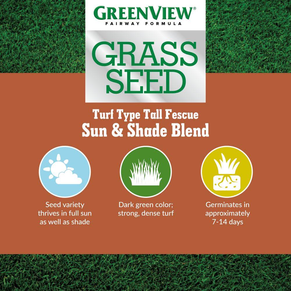 20 lb Turf Type Tall Fescue Grass Seed Q364