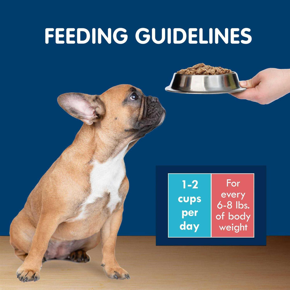 Grain-Free Chicken Wet Dog Food Variety Pack O17599
