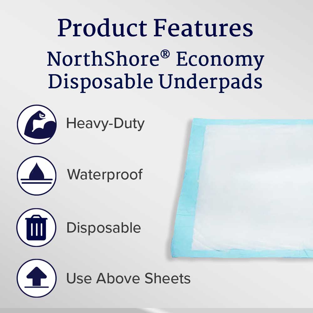 Economy Disposable Underpads, Large, 22x35 in., Case/150 O25494
