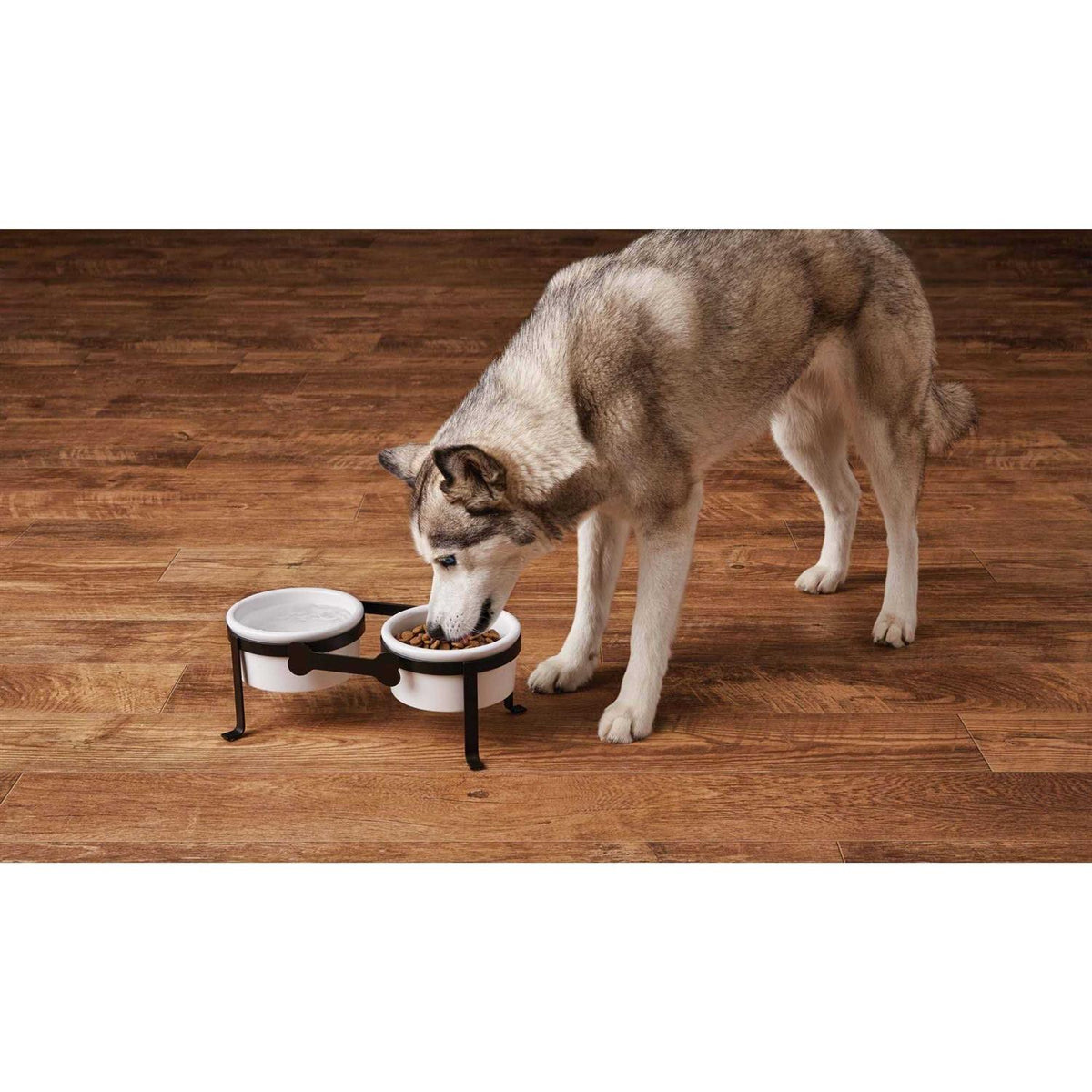 Iron Double Diner with Ceramic Dog Bowls Z369302