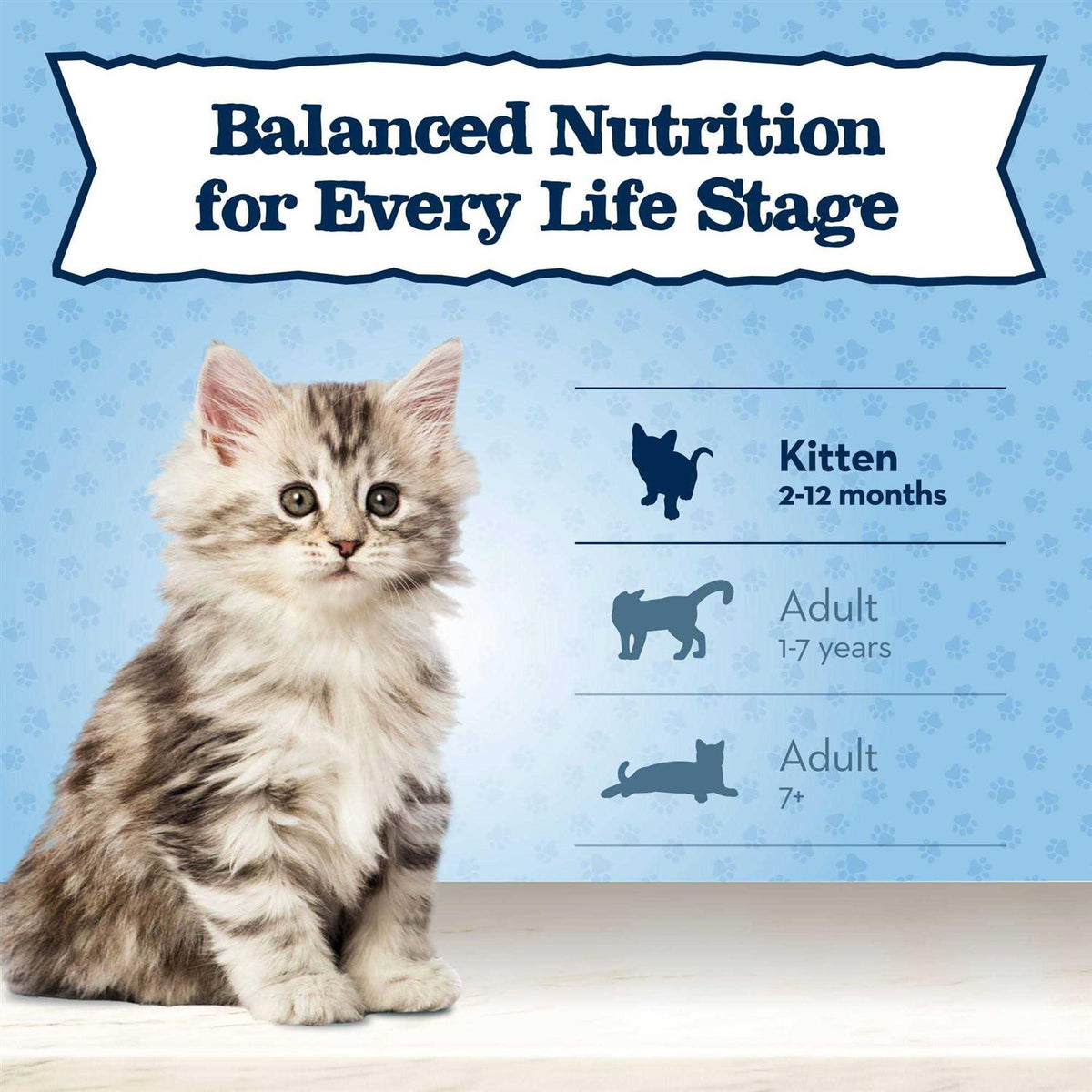 High Protein Natural Dry Kitten Food Y7473