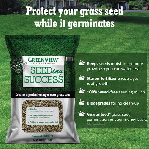 20 lb Turf Type Tall Fescue Grass Seed Q364
