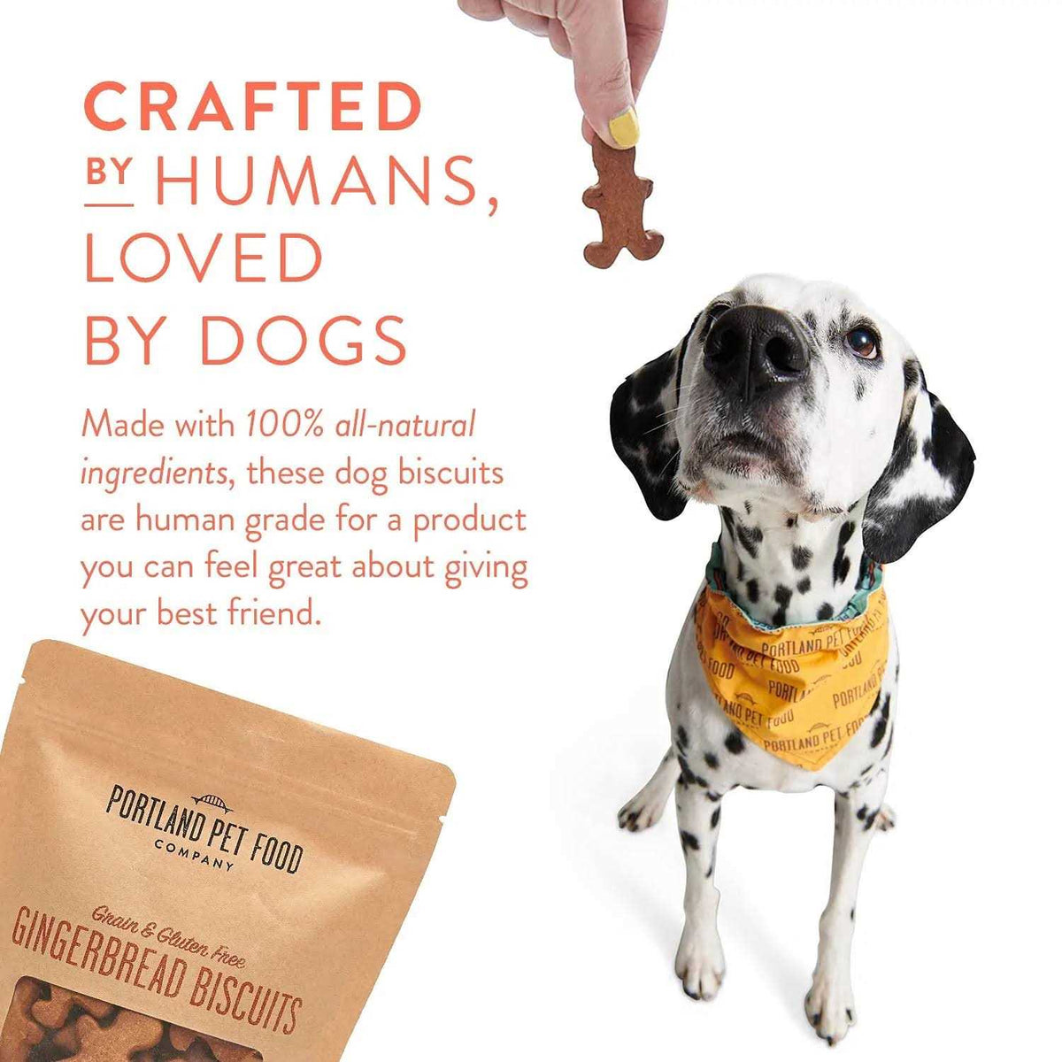 All-Natural Dog Treat Biscuits Multipack Bacon K86114