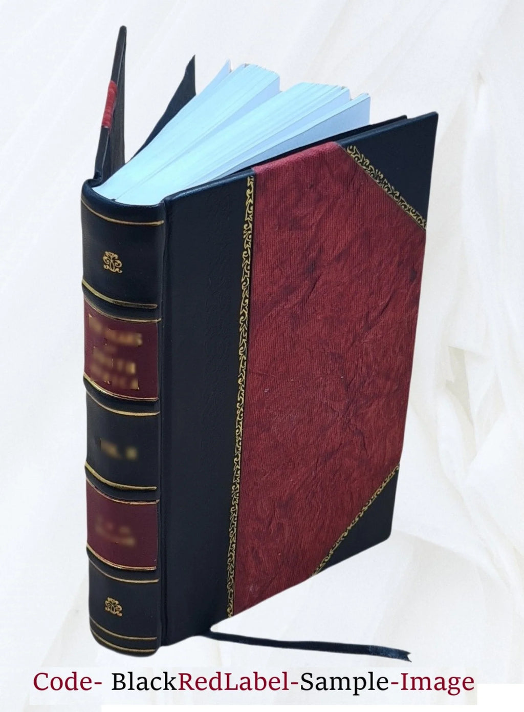 Leather Bound I4563